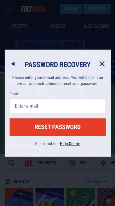 Password reset screen with email input